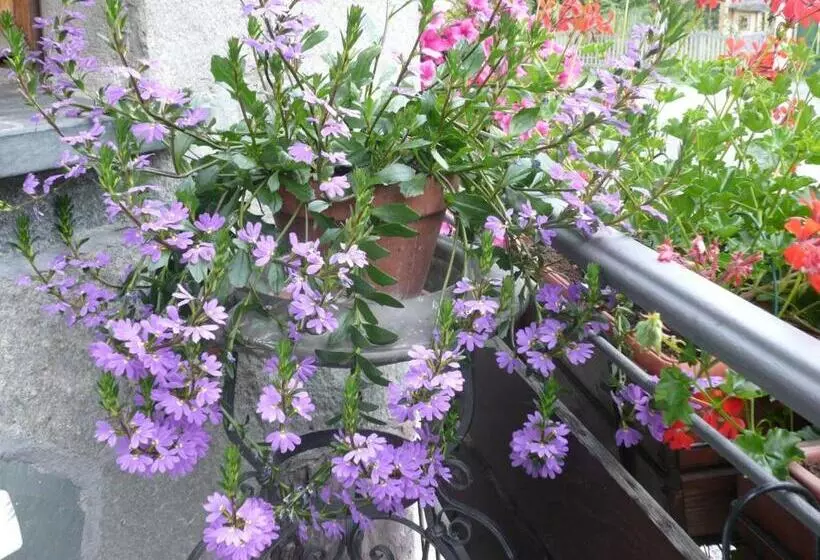 ホテル Albergo Panice