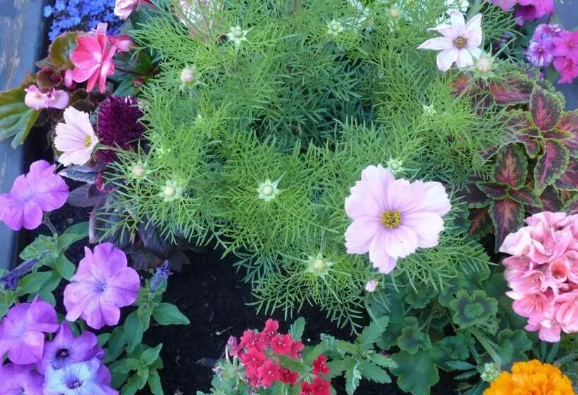 ホテル Albergo Panice