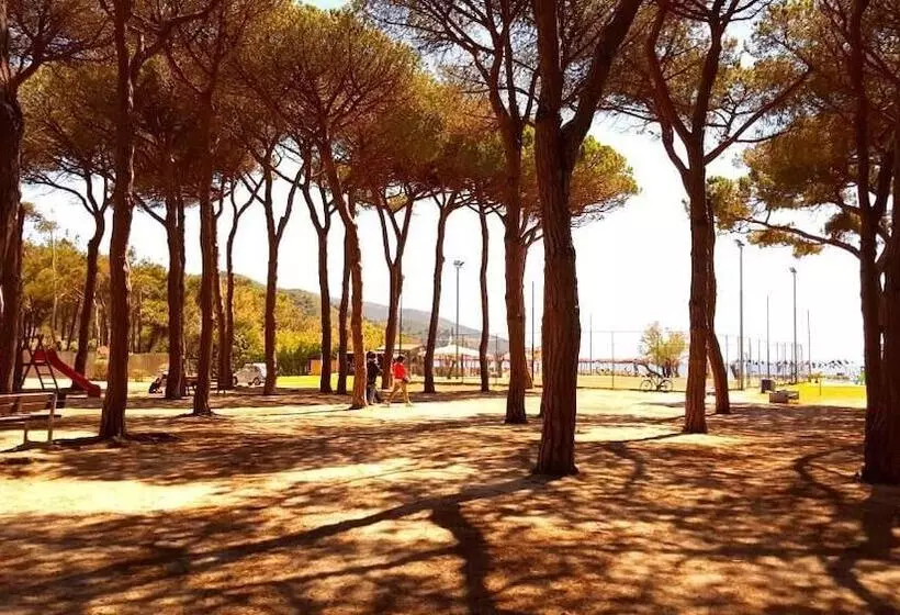 בית מלון כפרי Punto Verde