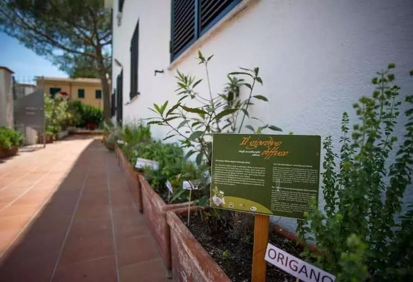 בית מלון כפרי Punto Verde