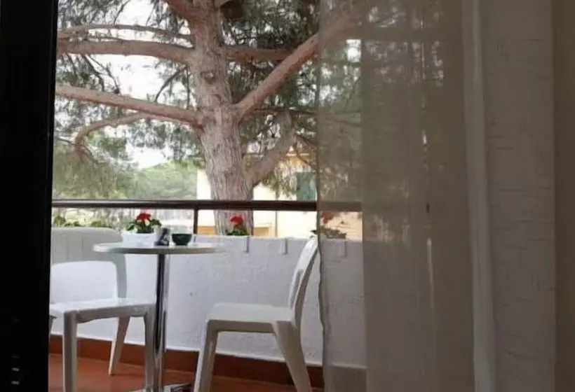 בית מלון כפרי Punto Verde