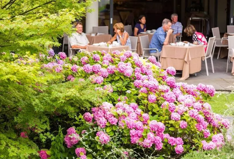 호텔 Astoria Resort