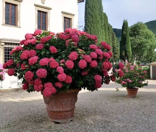 فندق Villa Campestri Olive Oil Resort