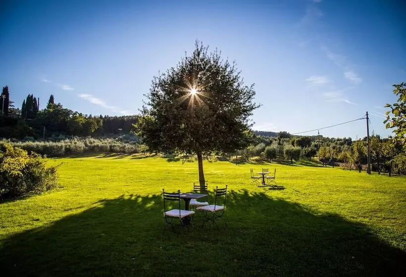 فندق Villa Campestri Olive Oil Resort
