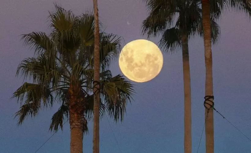 Hotel The Luigans Spa And Resort