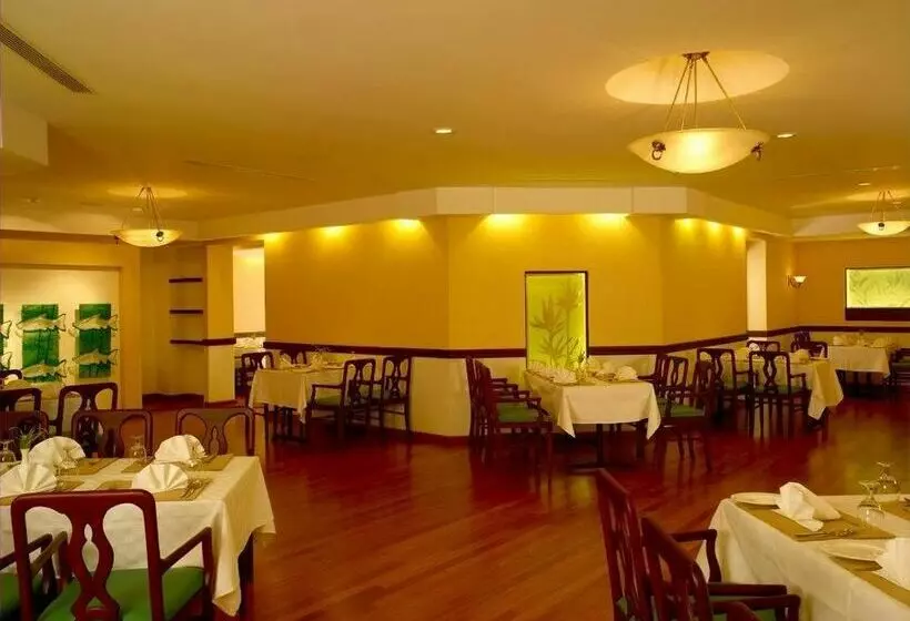 فندق The International