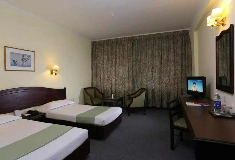 فندق The International