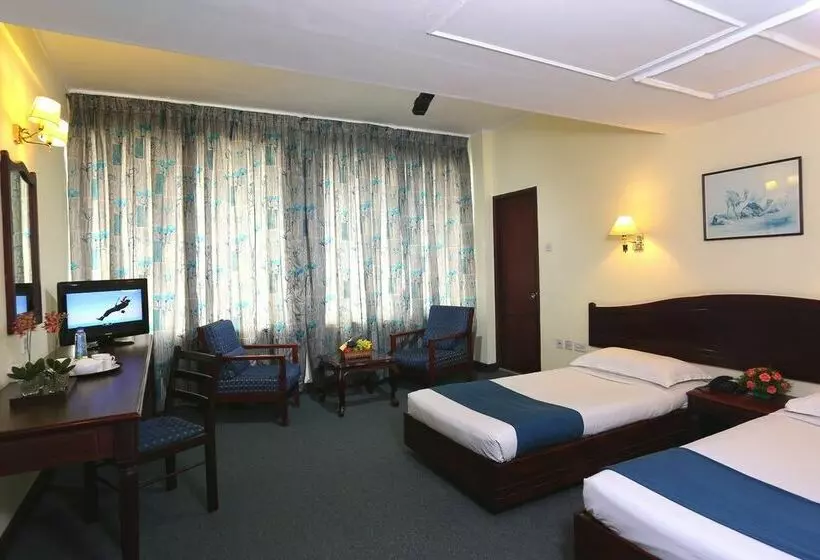 فندق The International