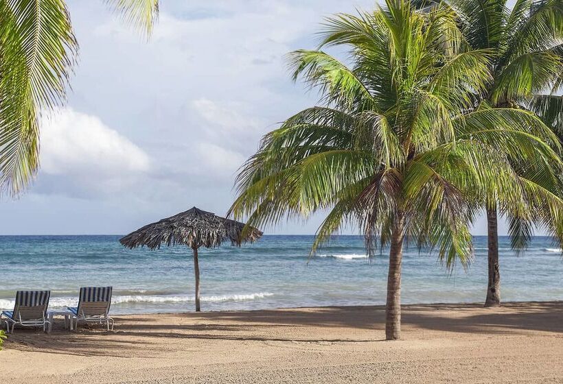 استراحتگاه Half Moon