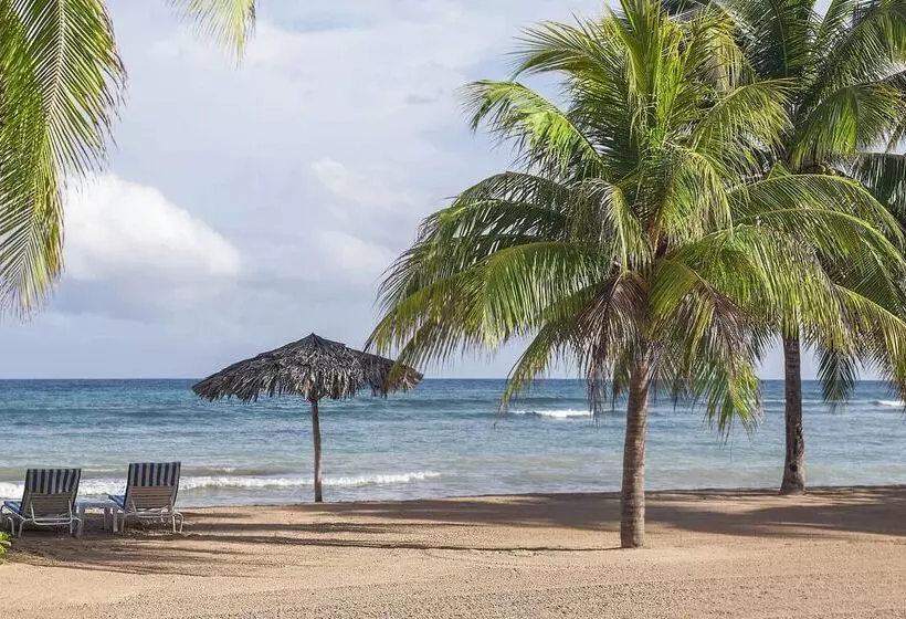 استراحتگاه Half Moon