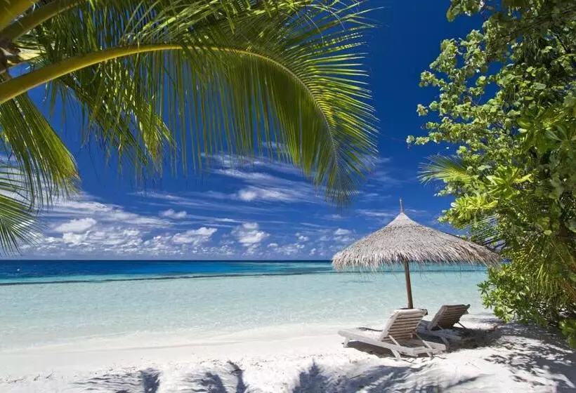 Gangehi Island Resort & Spa