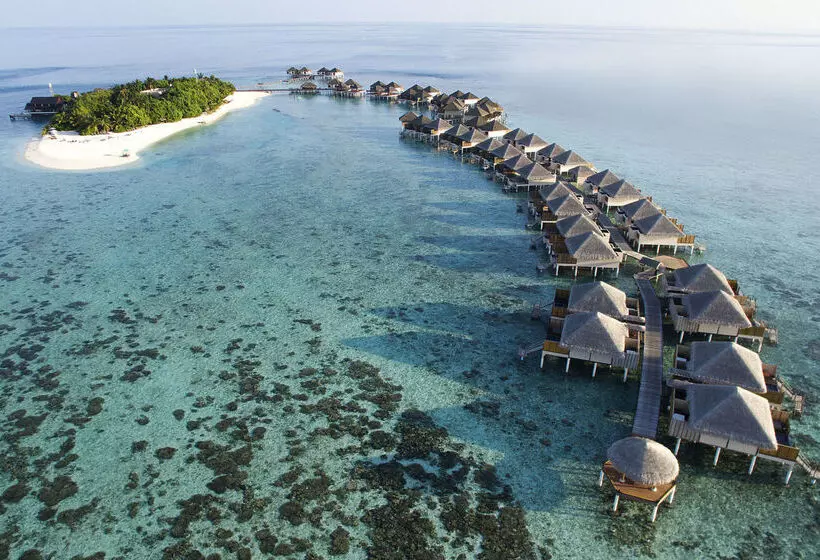 Hotel Adaaran Prestige Vadoo Adults Only Premium All Inclusive With Free Transfers 15 Minutes Away From