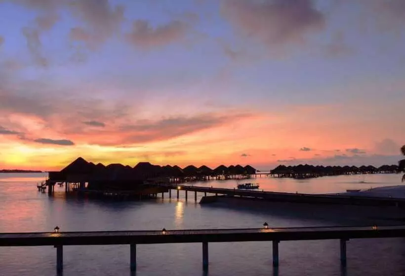 Hotel Adaaran Prestige Vadoo Adults Only Premium All Inclusive With Free Transfers 15 Minutes Away From