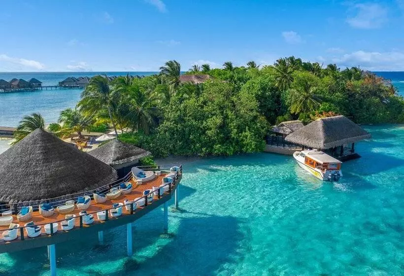 Hotel Adaaran Prestige Vadoo Adults Only Premium All Inclusive With Free Transfers 15 Minutes Away From