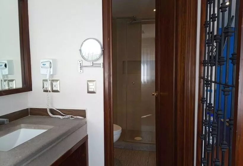 Отель Alameda Centro Historico