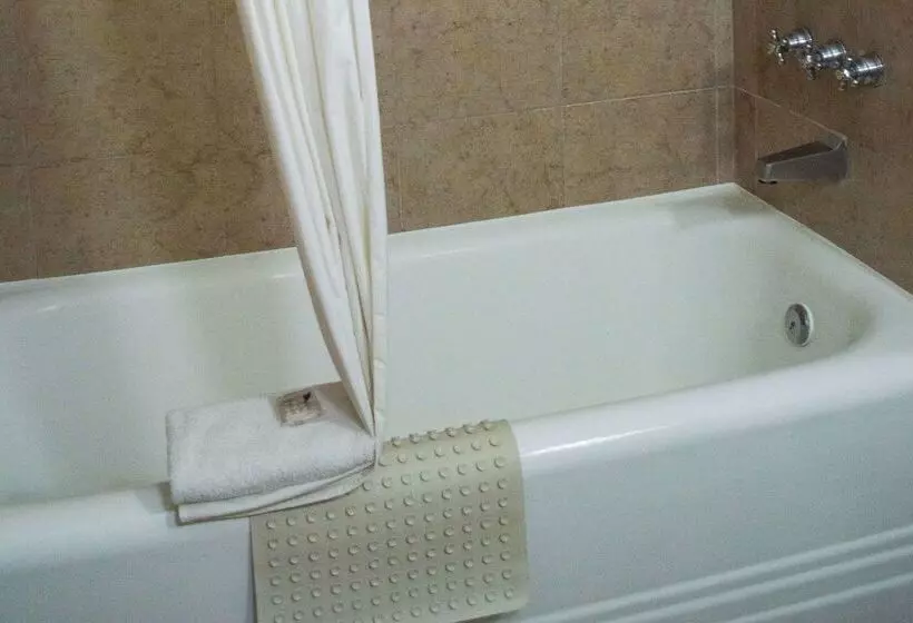 Отель Best Western  Majestic