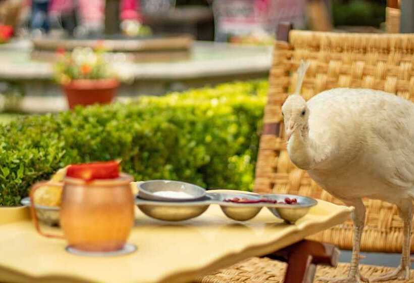 فندق Las Mananitas