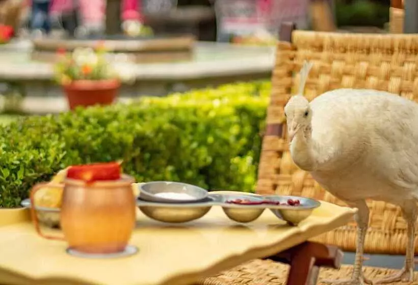 בית מלון כפרי Las Mananitas