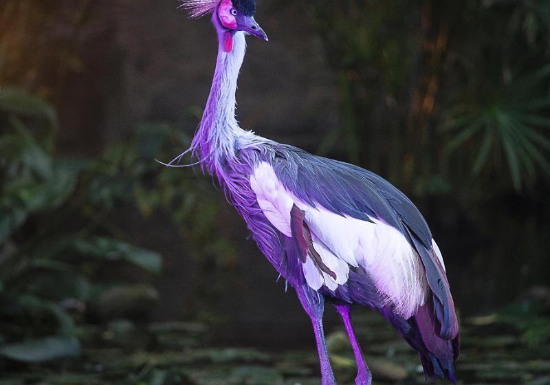 فندق Las Mananitas