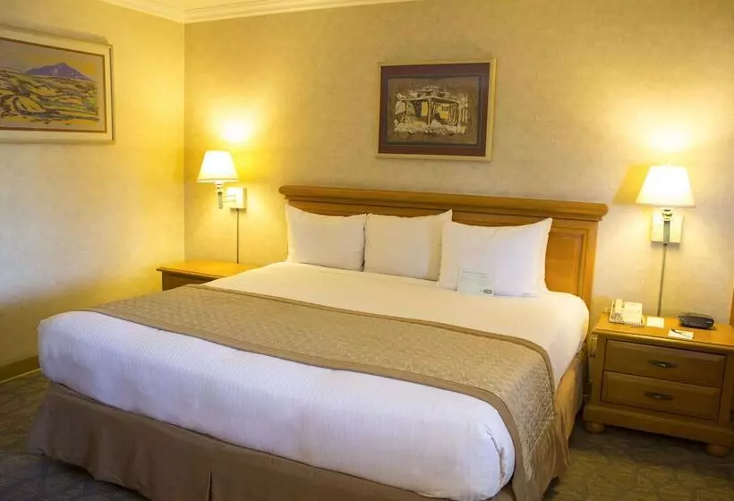 Hotelli Lucerna Tijuana