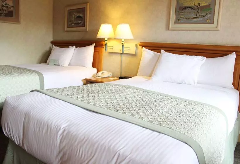 Hotelli Lucerna Tijuana