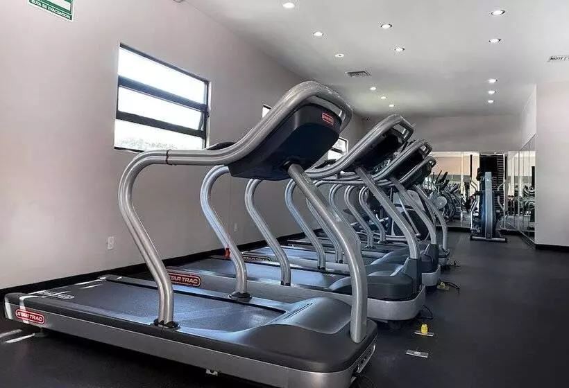 Hotelli Lucerna Tijuana