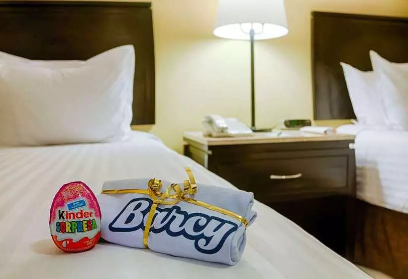 Resort Otel Barcelo Puerto Vallarta  All Inclusive