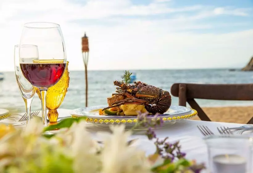 Resort Otel Barcelo Puerto Vallarta  All Inclusive