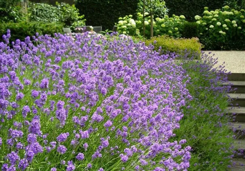 S&A Vondel Park Hotel