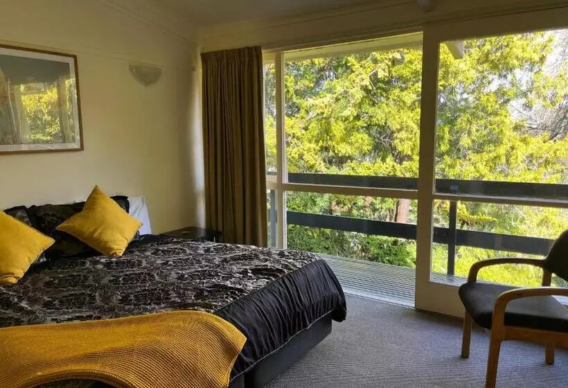 호텔 Caves Motor Inn