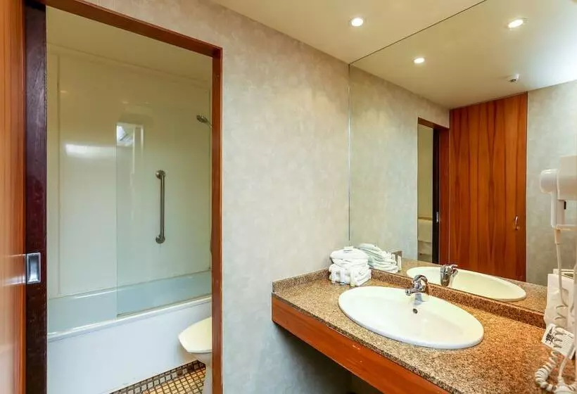 فندق Plymouth International