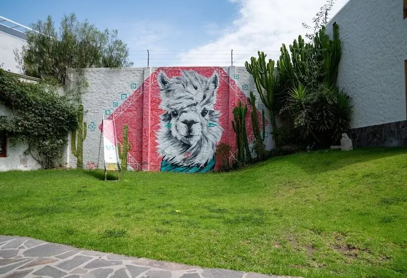 ホテル qema Arequipa
