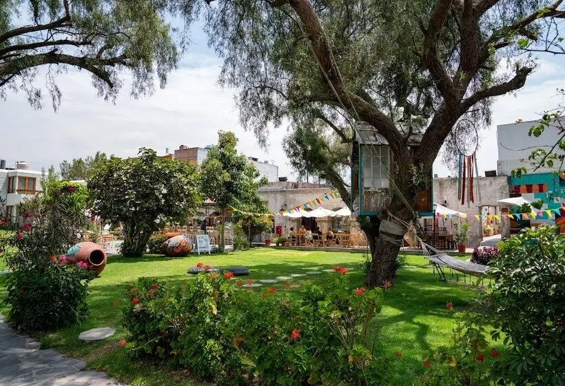 ホテル qema Arequipa