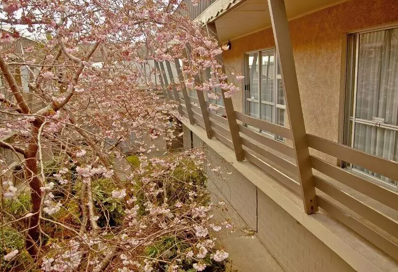 호텔 Coachmans Inn