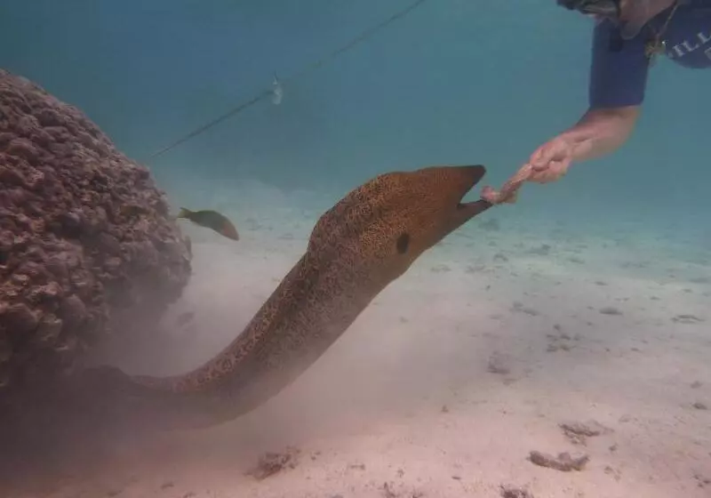 هتل Muri Beach Club