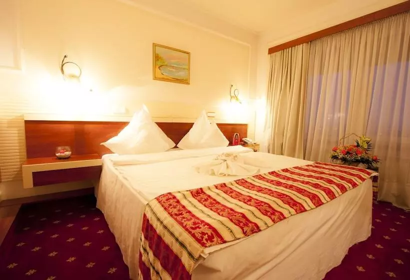 בית מלון כפרי Prahova Plaza