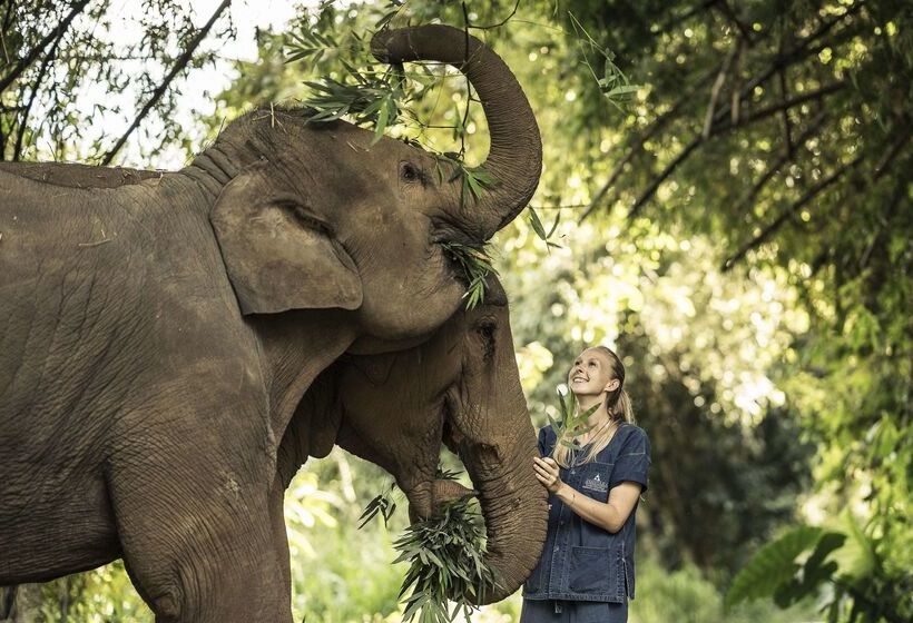 Hôtel Anantara Golden Triangle Elephant Camp & Resort