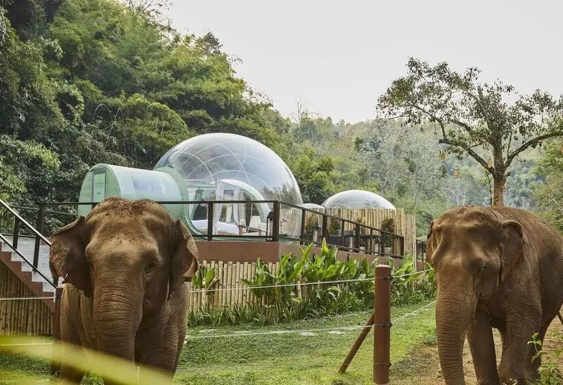 Hotel Anantara Golden Triangle Elephant Camp & Resort