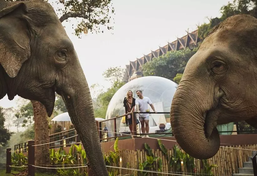 Hotel Anantara Golden Triangle Elephant Camp & Resort