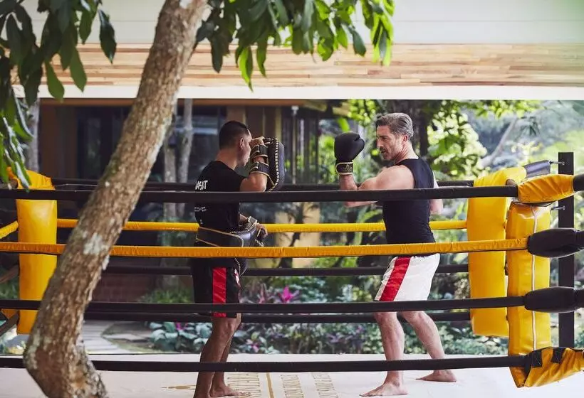 Hotel Anantara Golden Triangle Elephant Camp & Resort