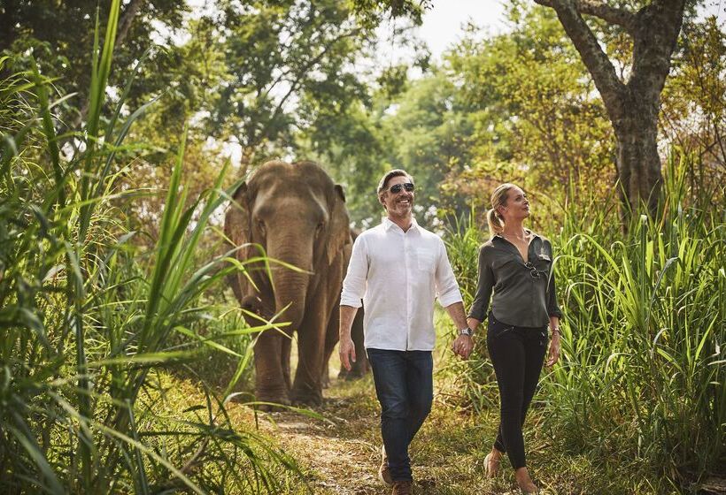 Hôtel Anantara Golden Triangle Elephant Camp & Resort