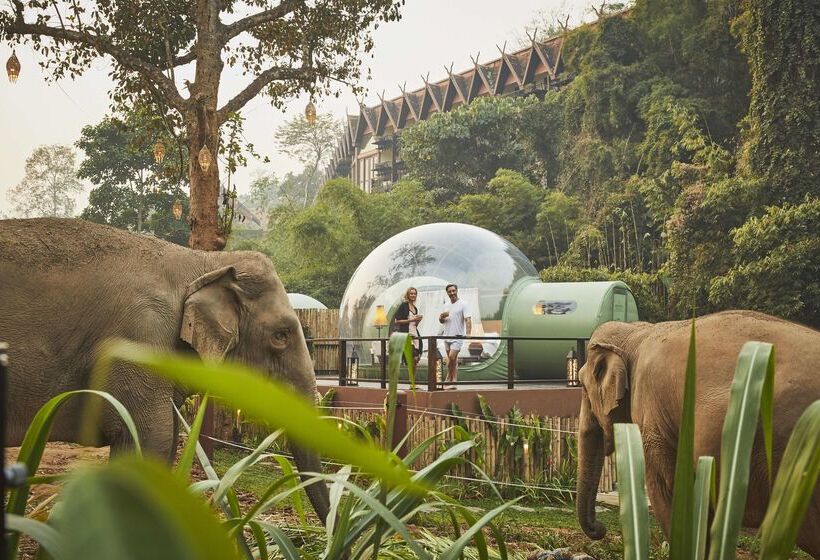 Hôtel Anantara Golden Triangle Elephant Camp & Resort