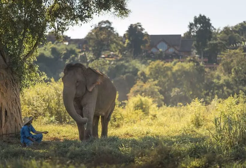 Hotel Anantara Golden Triangle Elephant Camp & Resort