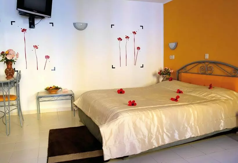 בית מלון כפרי Caribbean World Gammarth