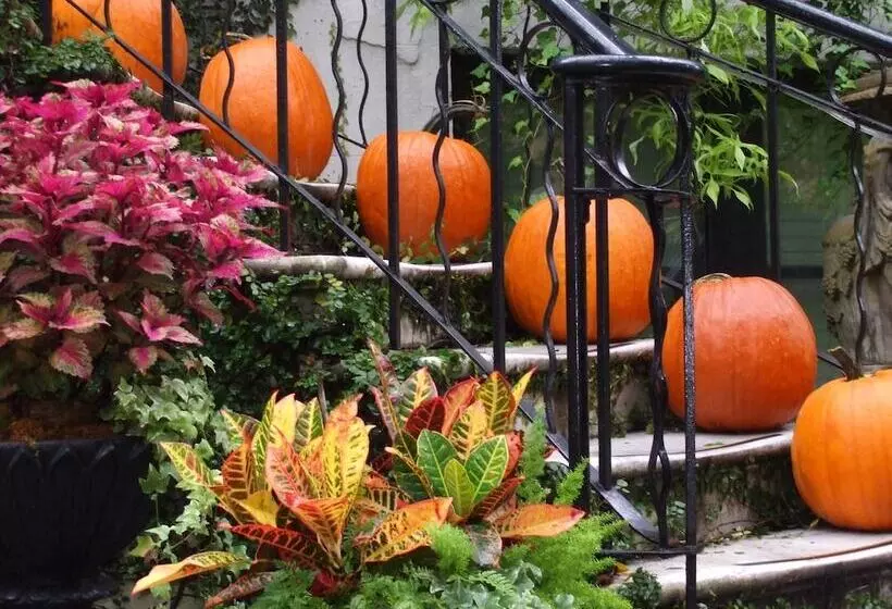 Отель Ballastone Inn