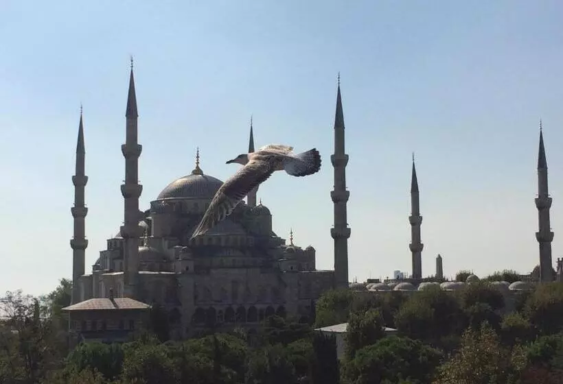 Kalyon Hotel Istanbul