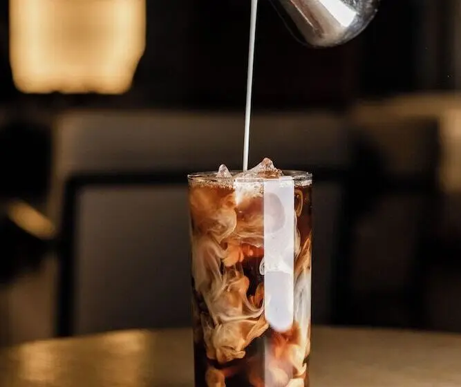 The Chicago Hotel Collection Ambassador Gold Coast