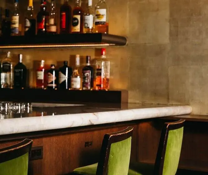 The Chicago Hotel Collection Ambassador Gold Coast