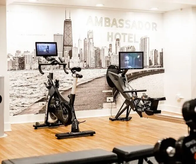 The Chicago Hotel Collection Ambassador Gold Coast