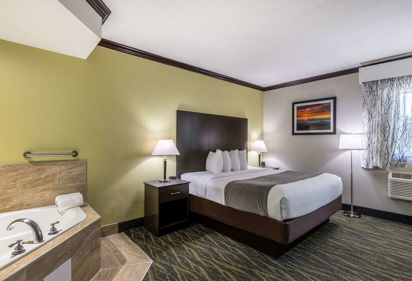 فندق Best Western Asheville Blue Ridge Parkway